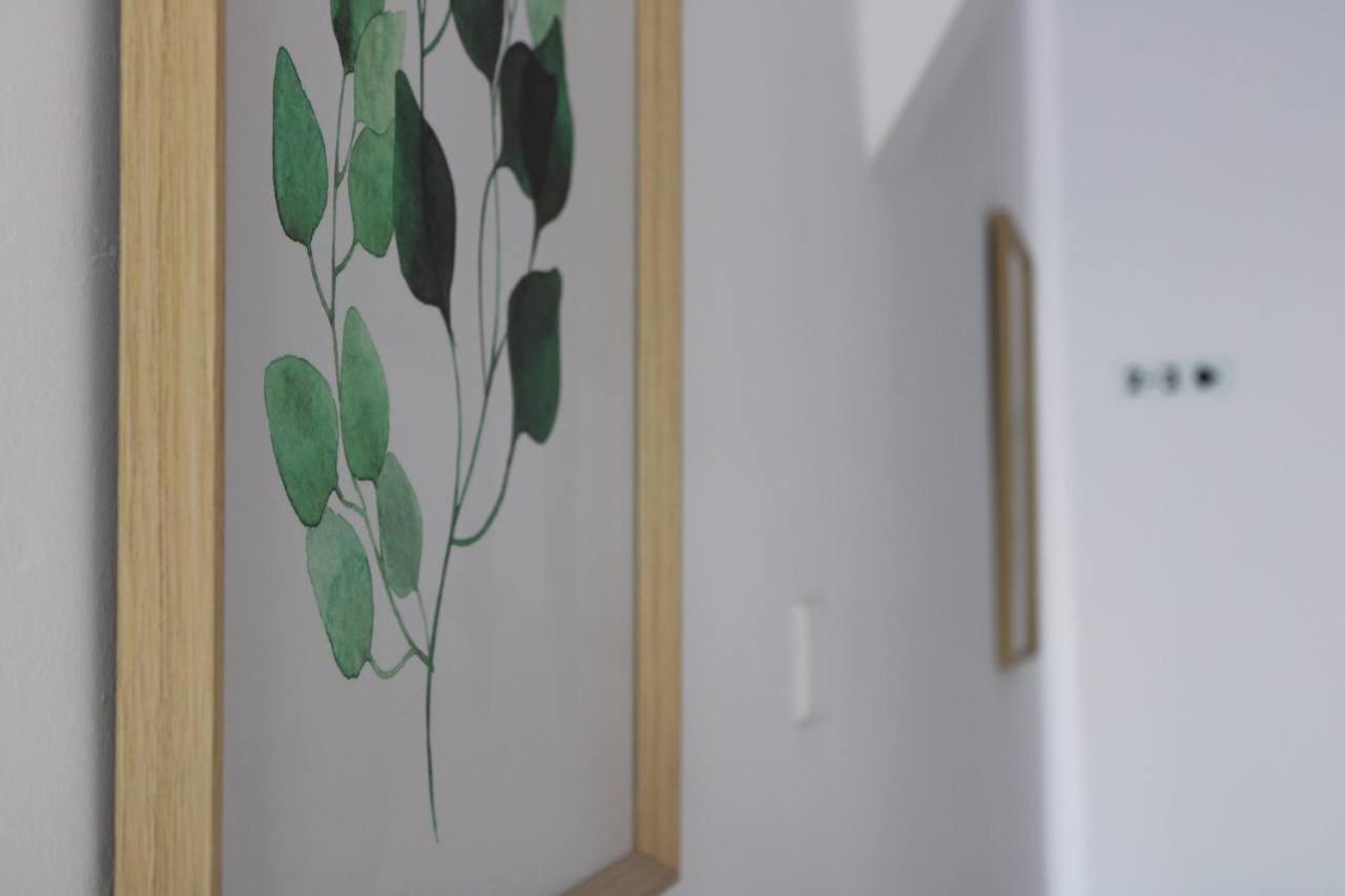 Katsikantaris Homes Paphos Luaran gambar