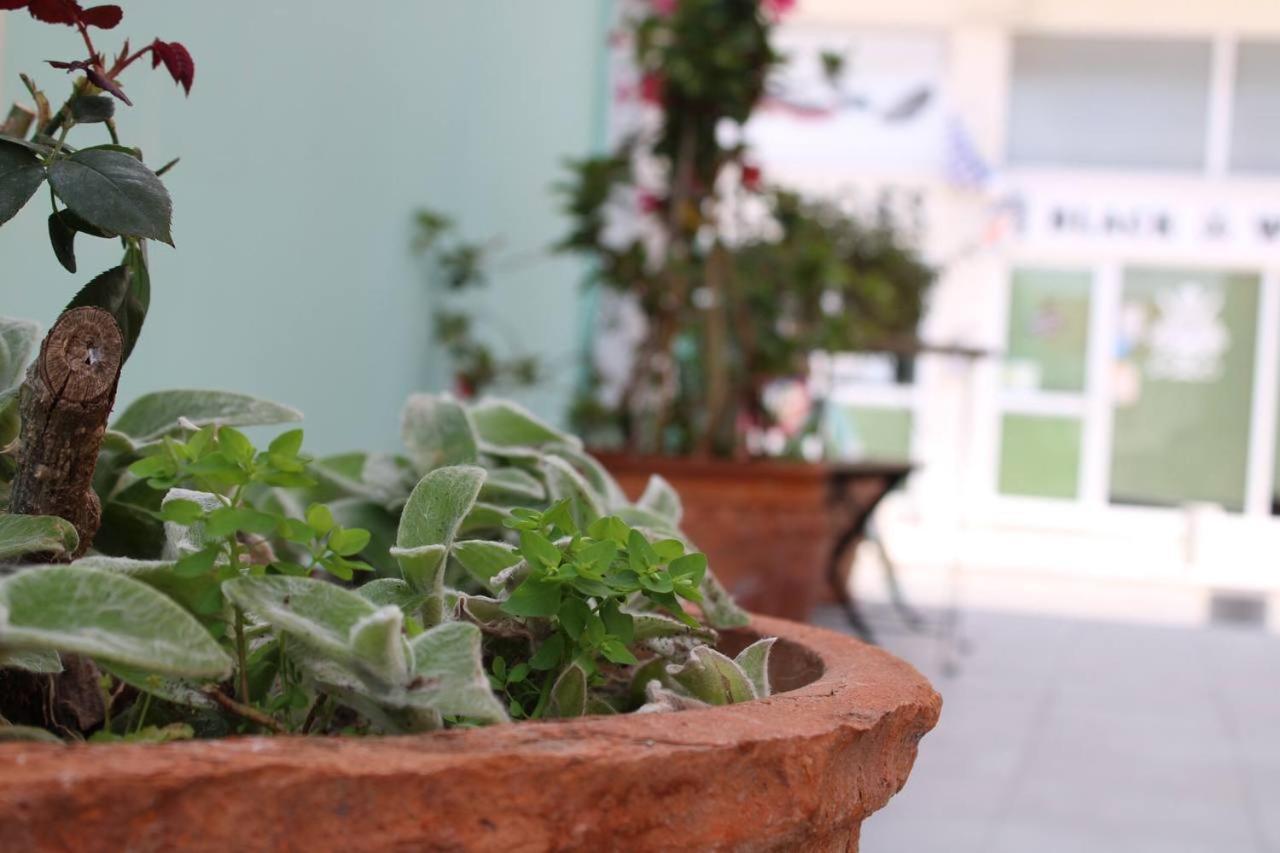 Katsikantaris Homes Paphos Luaran gambar